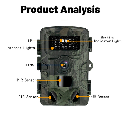 LCD-Bildschirm-Nachtsicht-der wild lebenden Tiere PR700 4K Hinterder kamera-36MP IP54 2,0 Kamera
