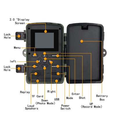 LCD-Bildschirm-Nachtsicht-der wild lebenden Tiere PR700 4K Hinterder kamera-36MP IP54 2,0 Kamera