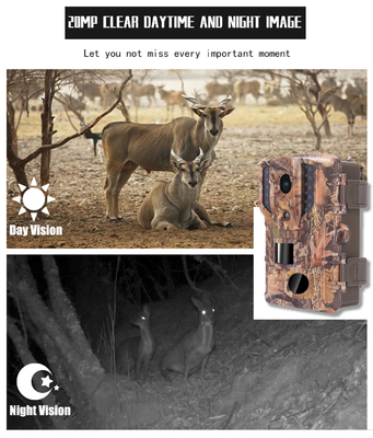 Wasserdichte Jagdkamera hochauflösendes 1080P 20MP LCD 32pcs der wild lebenden Tiere 30FPS IP66