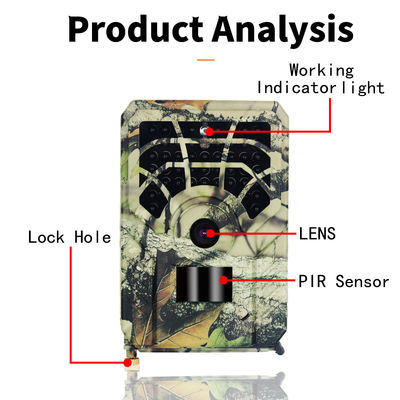 16MP 1080P HD Kamera IP54 jagend imprägniern PROkameras des Hinterpr300 im Freien