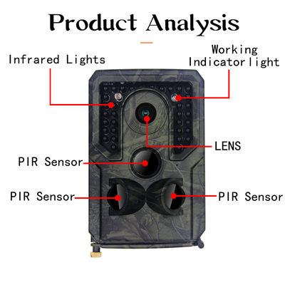 PRO-IP54 wasserdichtes IR Licht wild lebender Tiere 16MP 1080P der Digitalkamera-PR400