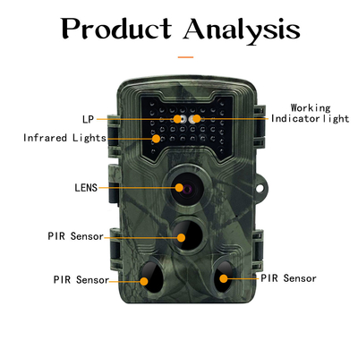 Mikro-wasserdichte 16MP High Definition Trail Kamera Sd HD Hinterder kamera-IP54